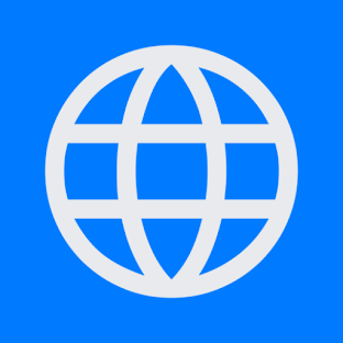 WebView Basic Sample Demo